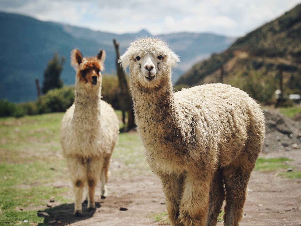 Peru